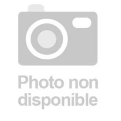 Barre De Pivotement Pour Renfort De Porte Sur Cornière Hauteur 2200 Mm 3 Paumelles Maroc De 140 Mm Coloris Marron Gauche