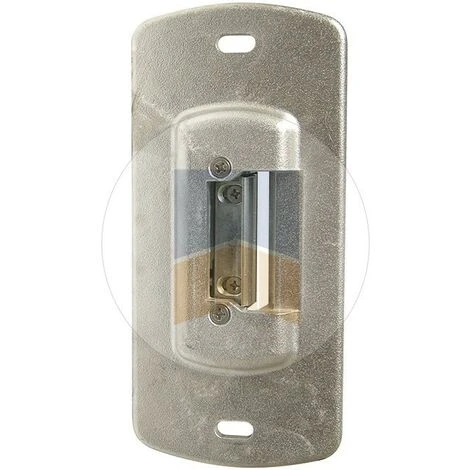Gâche électrique Réversible En Applique Pour Portillon. Brut
