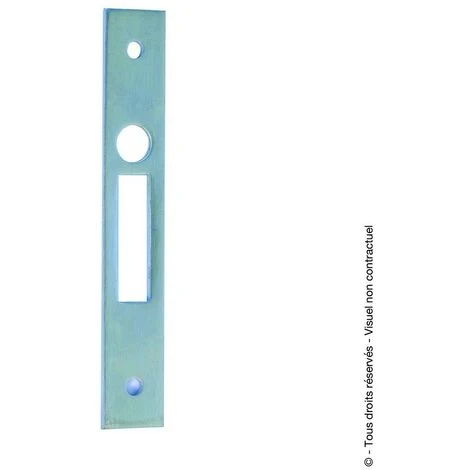 Gâche Pour Serrure (en Catégorie S)