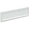 ARREGUI C603 Entrée De Boîte Aux Lettres En Acier Pour Porte, Mur Et Portail. Bouche D'entrée De Boite Aux Lettres Extérieure De 23 X 3 Cm, Blanc